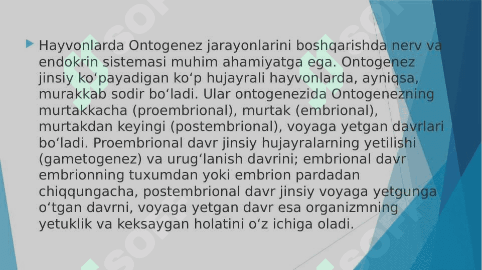 A’zolar sistemasi ontofilogenezi: nerv sistemasi, qon aylanish, endokrin tizim, ayiruv sistemasi. 7