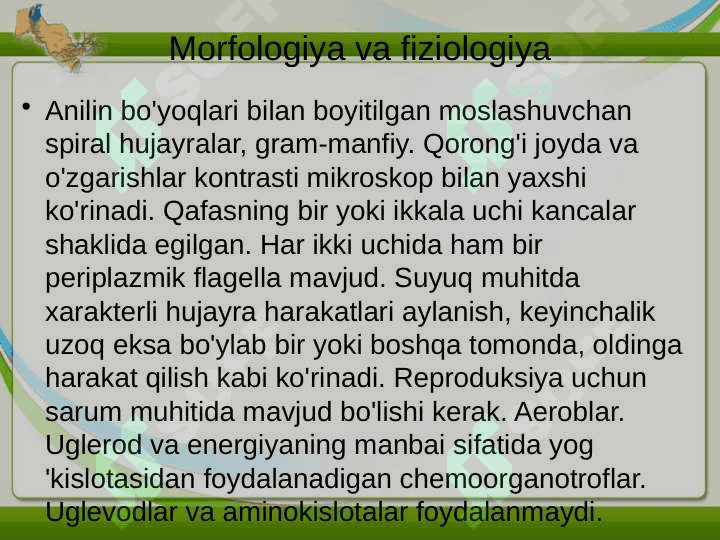 LEPTOSPIROZLAR. GEMORRAGIK ISITMA QO'ZG'ATUVCHILARI, PATOGENEZI, LABORATORIYA TASHHISI. LEPTOSPIROZLAR MORFOLOGIYASI, STRUKTURASI, TARQALGANLIGI, KELTIRIB CHIQARUVCHI KASALLIKLARI VA LABORATORIYA TASHHISI. 3