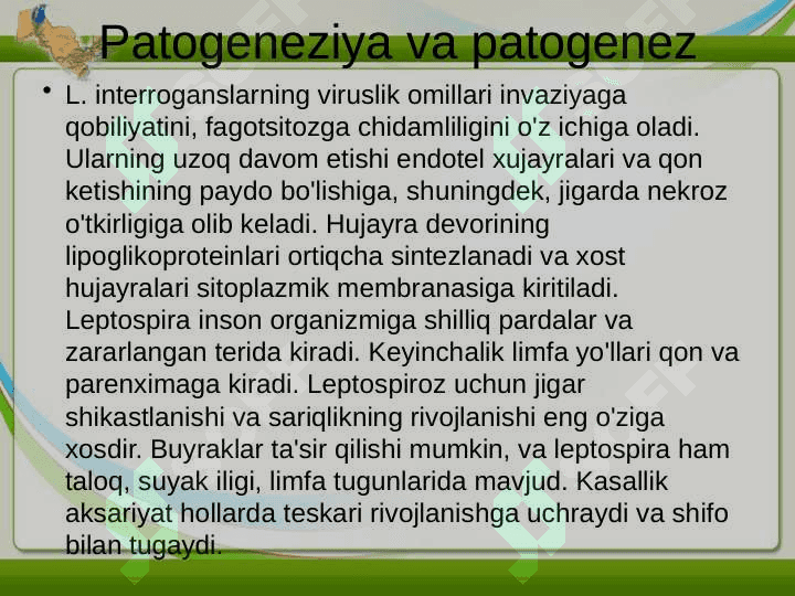 LEPTOSPIROZLAR. GEMORRAGIK ISITMA QO'ZG'ATUVCHILARI, PATOGENEZI, LABORATORIYA TASHHISI. LEPTOSPIROZLAR MORFOLOGIYASI, STRUKTURASI, TARQALGANLIGI, KELTIRIB CHIQARUVCHI KASALLIKLARI VA LABORATORIYA TASHHISI. 7
