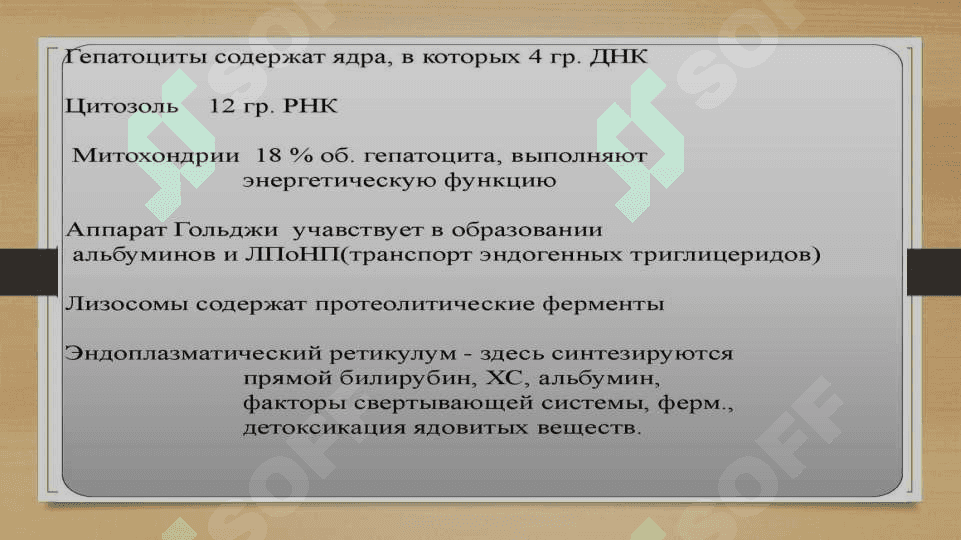 Биохимия печени. Обезвреживание токсических веществ 5