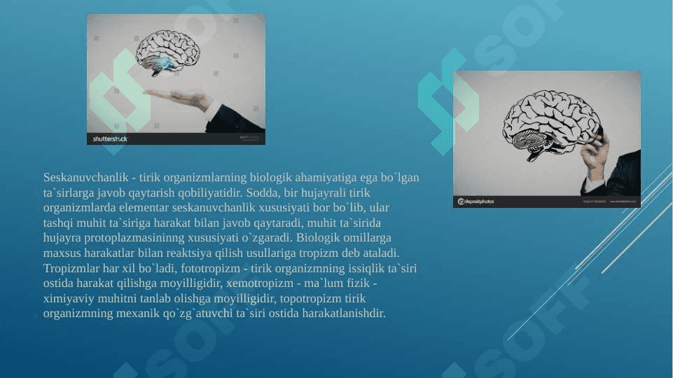 Psixika haqida tushuncha 3