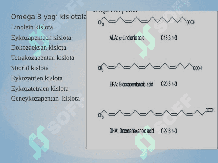 Omega 3 kislotalari 3