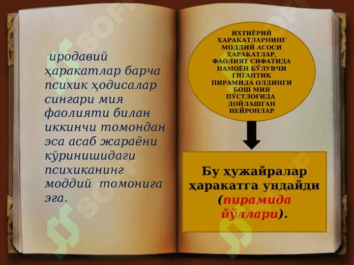 Ирода психологияси 6