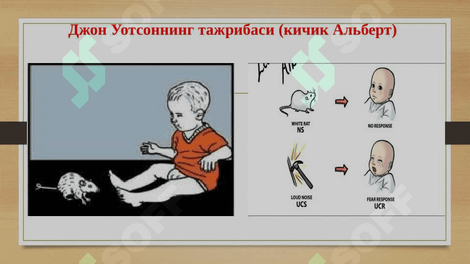 Экспериментал_тажриба_Бихевиоризм 8