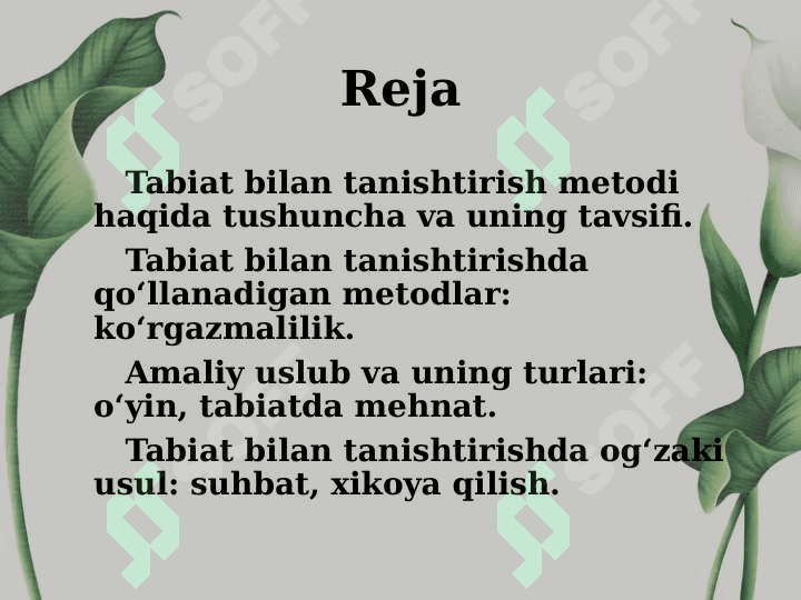 Tabiat bilan tanishtirish metod va usullariga umumiy tavsif 2