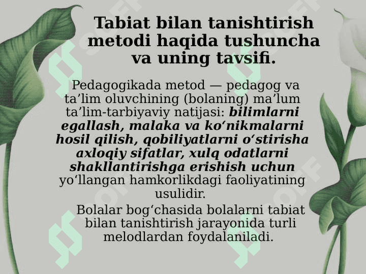 Tabiat bilan tanishtirish metod va usullariga umumiy tavsif 3