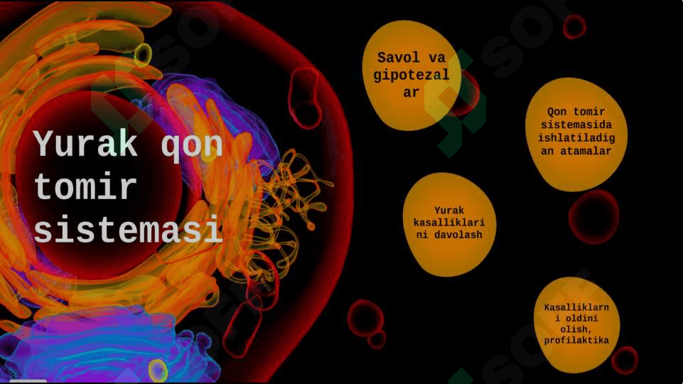 “YURAK QON TOMIRLARI SISTEMASI” 2