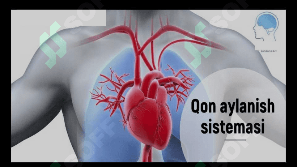 “YURAK QON TOMIRLARI SISTEMASI” 3