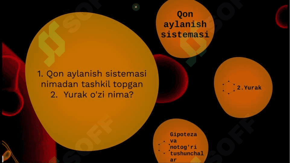“YURAK QON TOMIRLARI SISTEMASI” 4