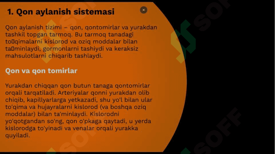 “YURAK QON TOMIRLARI SISTEMASI” 6