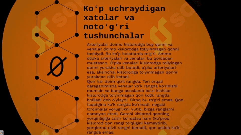 “YURAK QON TOMIRLARI SISTEMASI” 7
