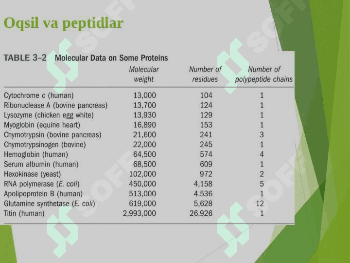 Oqsil tabiatli peptid va garmonlar. Proteinopatiyalar 3