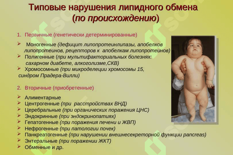 Нарушения липидного обмена.Гиперлипидемия. 3