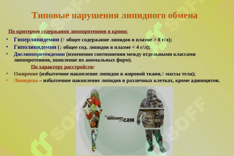 Нарушения липидного обмена.Гиперлипидемия. 4