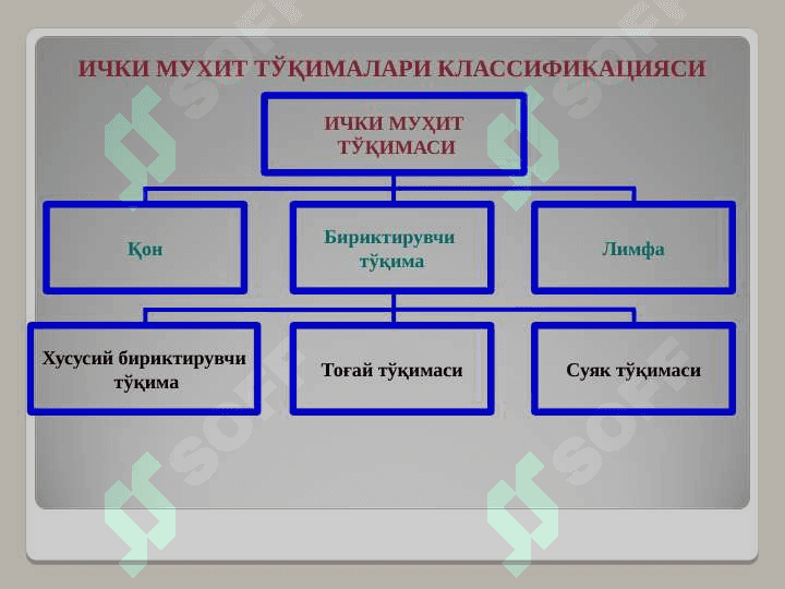 АСЛ БИРИКТИРУВЧИ ТЎҚИМА. ТОҒАЙ ВА СУЯК ТЎҚИМАСИ 6