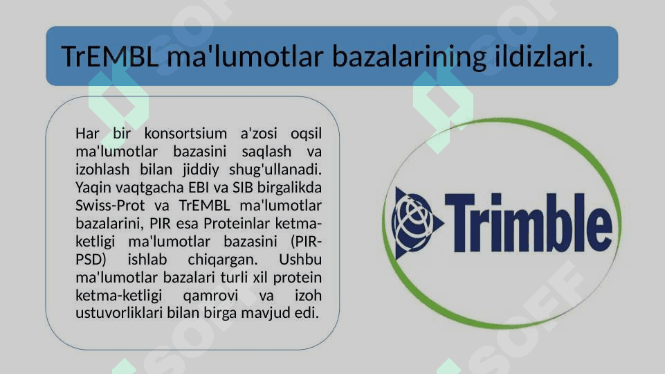 Oqsilga oid xalqaro baza ma’lumotlari bilan tanishish 3