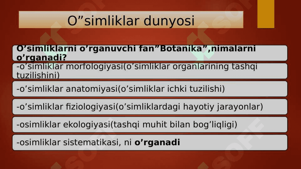 O’simliklar dunyosi 4
