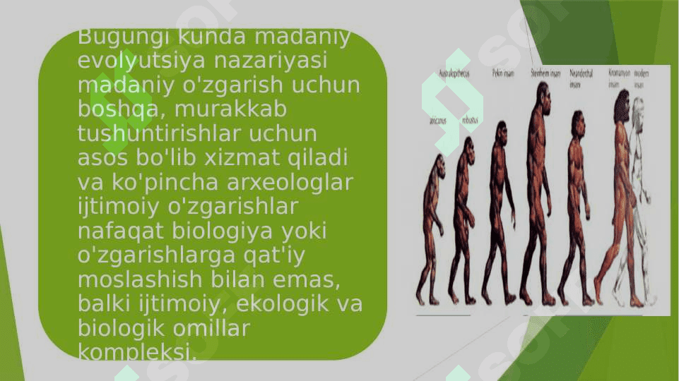 Madaniy evolyutsiya madaniy meros inson evolyutsiyasini hal qiuvchi omillar 3