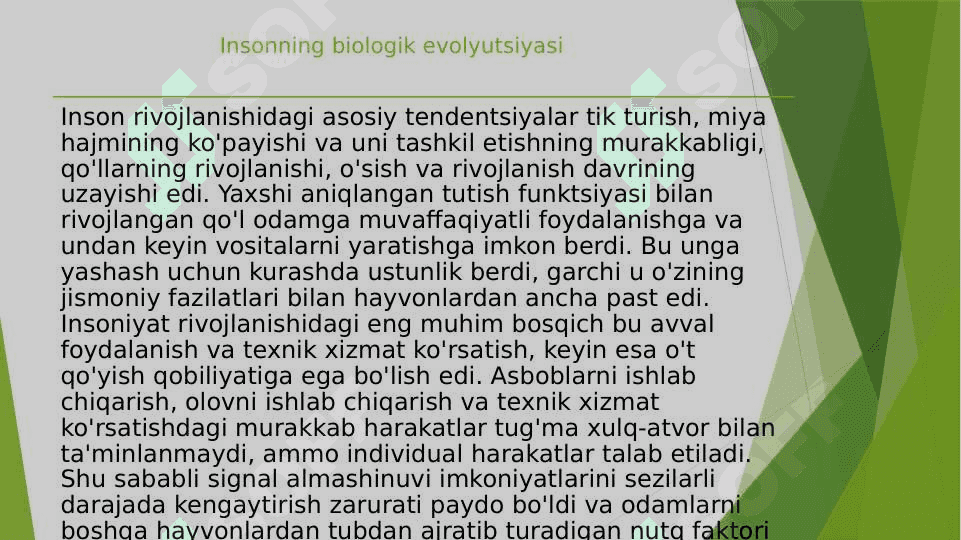 Madaniy evolyutsiya madaniy meros inson evolyutsiyasini hal qiuvchi omillar 4