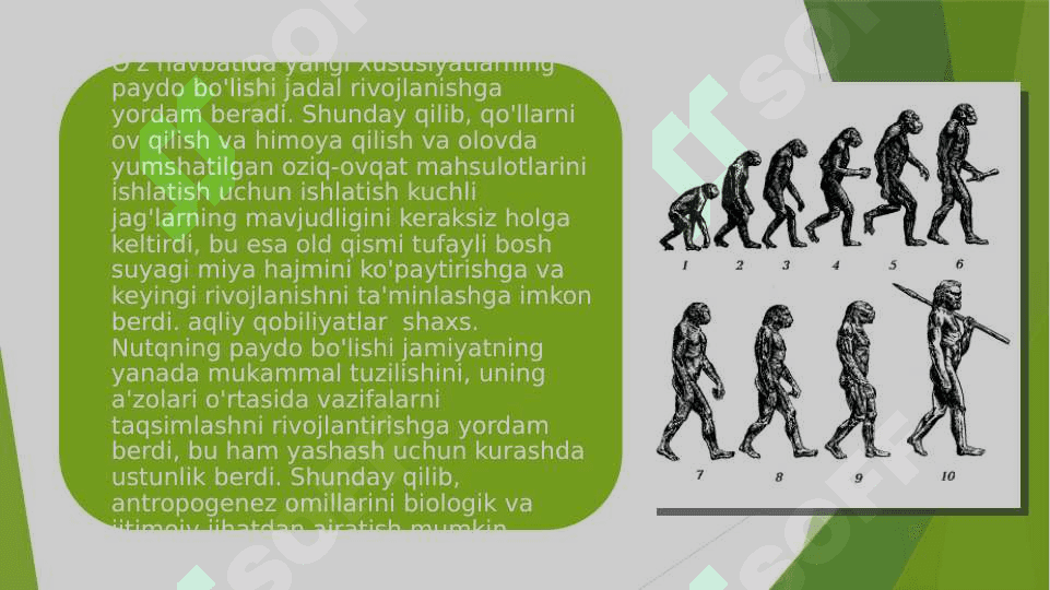 Madaniy evolyutsiya madaniy meros inson evolyutsiyasini hal qiuvchi omillar 5