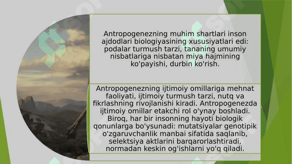 Madaniy evolyutsiya madaniy meros inson evolyutsiyasini hal qiuvchi omillar 7