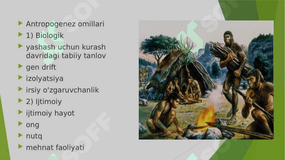 Madaniy evolyutsiya madaniy meros inson evolyutsiyasini hal qiuvchi omillar 8