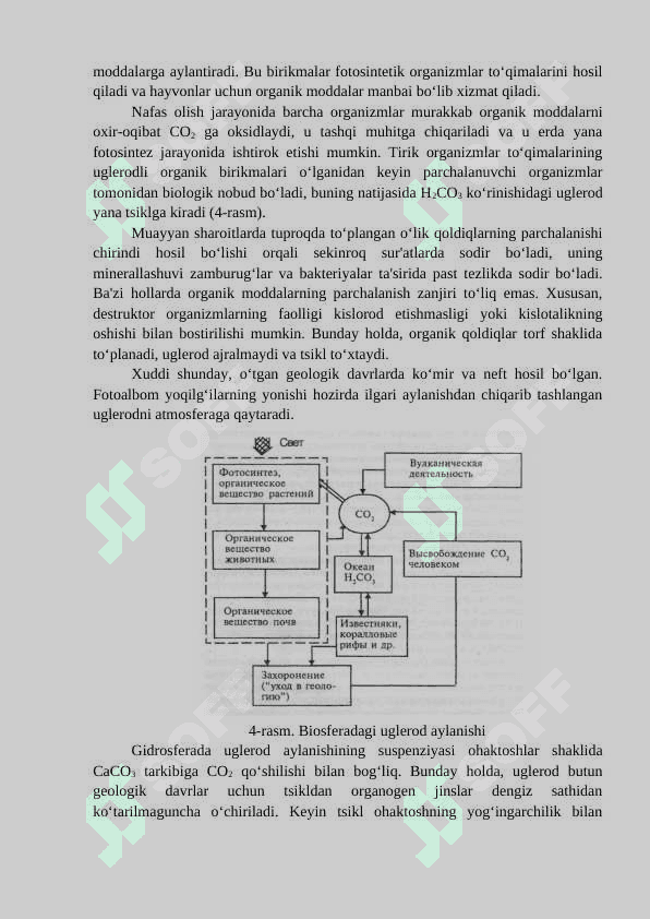 Biosferada moddalar va energiya aylanishi 4