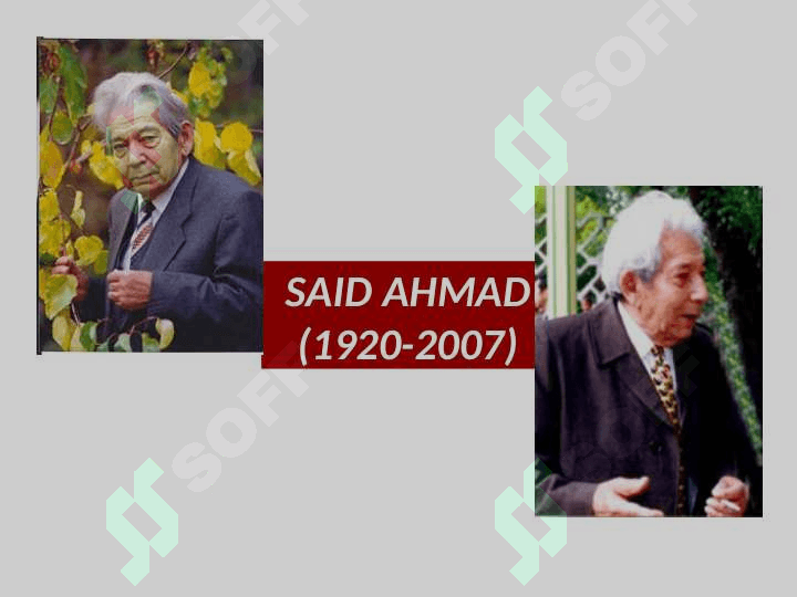 Said Ahmad hayoti va ijodi, ,,Qorako`z  majnun’’ hikoyasi 2