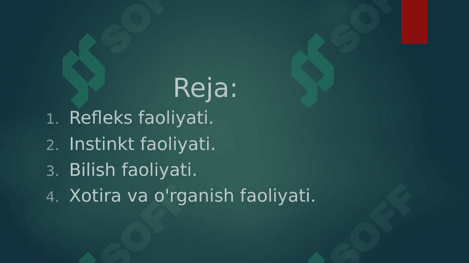 Oliy nerv faoliyati: Refleks faoliyati, Instinkt faoliyati, Bilish faoliyati, Xotira va o'rganish faoliyati 2