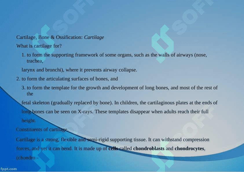 Cartilage and bone. Hyaline, elastic cartilago and fibrocartilago 2