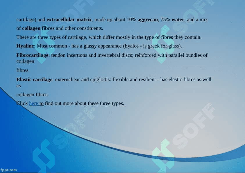 Cartilage and bone. Hyaline, elastic cartilago and fibrocartilago 3