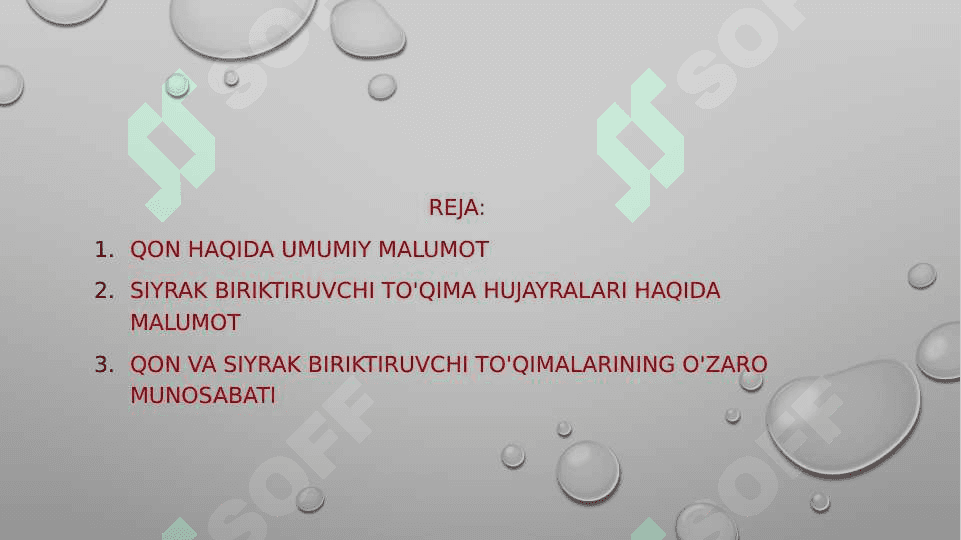 Qon va siyrak tolali biriktiruvchi to’qimalarning o’zaro munosabati 2