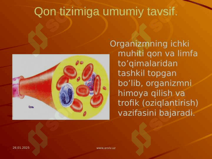 Qon shakilli elementlarnining oʻzaro ta'sirida gumoral omillarning roli. Qonning shakilli elementlari. 3