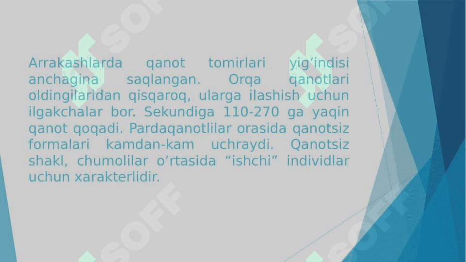 Sinantrop ko'rinishdagi xasharotlar, ularning epidimiologik ahamiyati 4