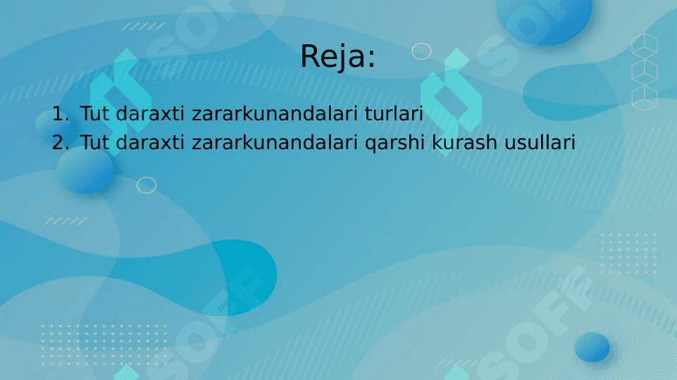 Tut daraxti zararkunandalari va ularga qarshi kurash 2