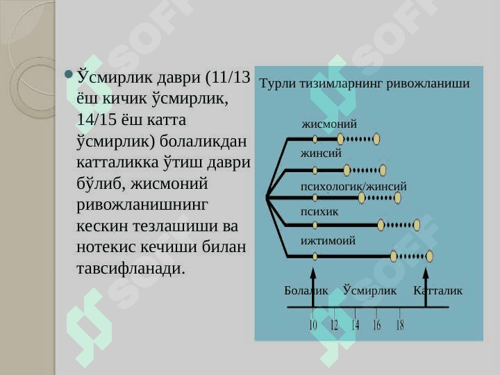 ЎСМИРЛИК ДАВРИДА ПСИХИК РИВОЖЛАНИШ ХУСУСИЯТЛАРИ 2