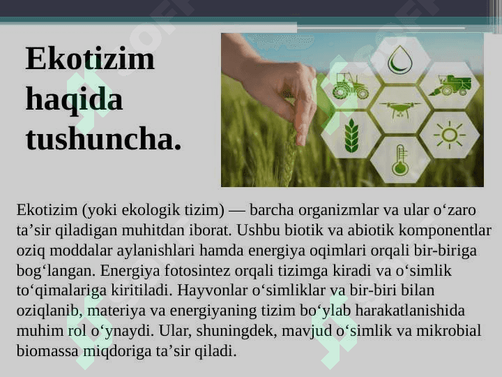EKOTIZIM VA UNING TASNIFLANISHI 3