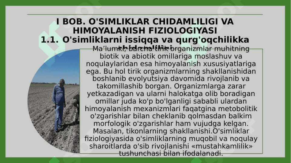 O’simliklarni qurg’oqchilikka chidamliligi 3