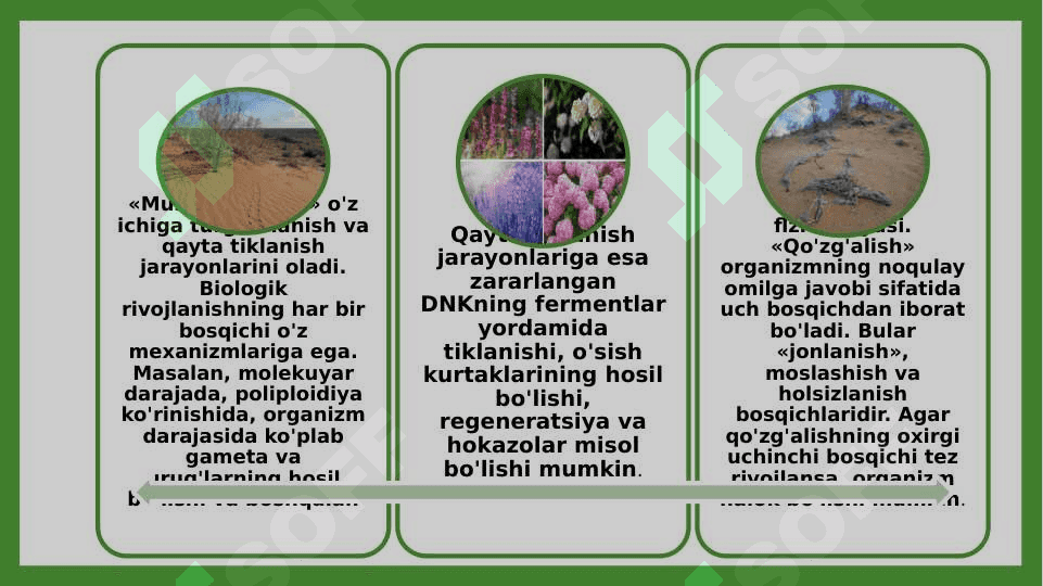 O’simliklarni qurg’oqchilikka chidamliligi 4