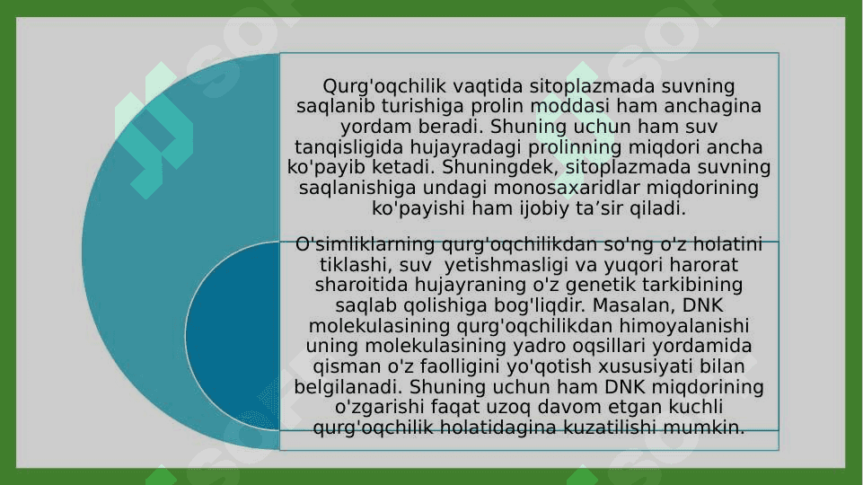 O’simliklarni qurg’oqchilikka chidamliligi 7