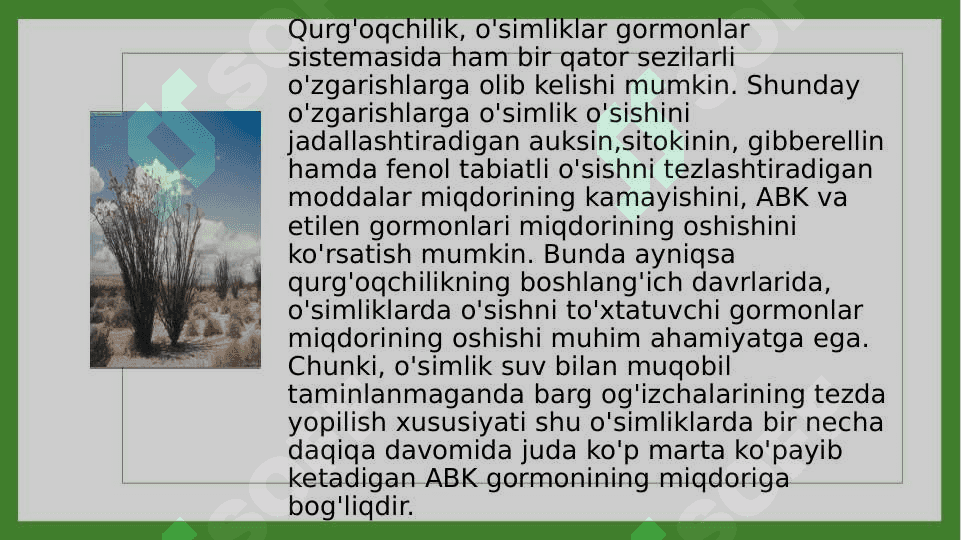 O’simliklarni qurg’oqchilikka chidamliligi 8