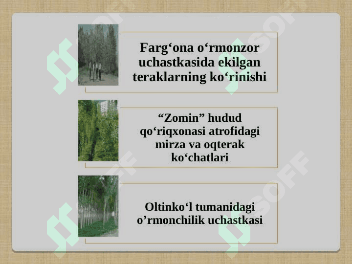 TOLDOSHLARDA YASHOVCHI ZARARKUNANDA HASHAROTLAR 6