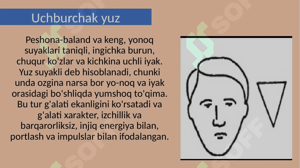 Yuz tuzilishi tiplari 18.pptx 7