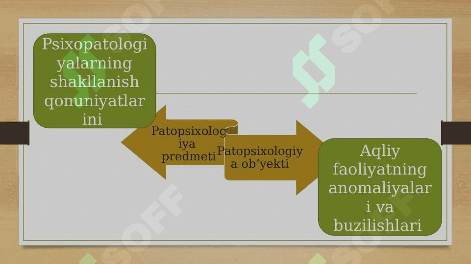 Bluma Zeygarnikning patopsixologiya sohasiga qo’shgan hissasi 20.pptx 5