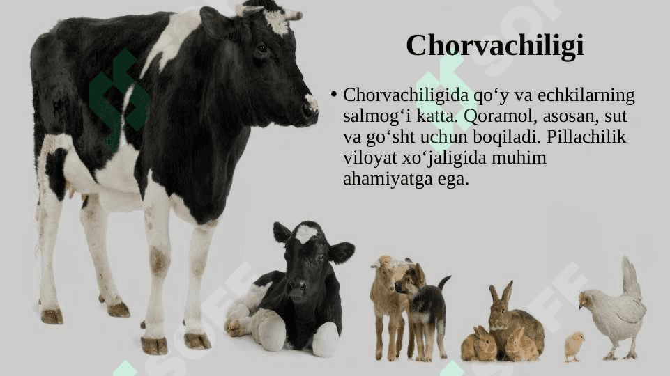 Andijon viloyati 8