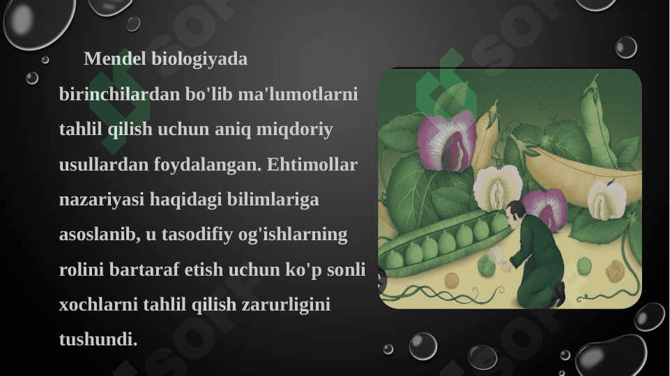 Mendel qonunlarining amalga oshishi uchun zarur sharoitlar 3