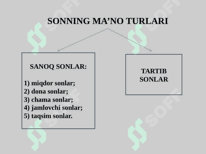 SON SO`Z TURKUMI 7