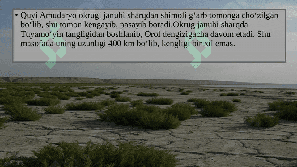 QUYI AMUDARYO TABIIY   GEOGRAFIK OKRUGI 3