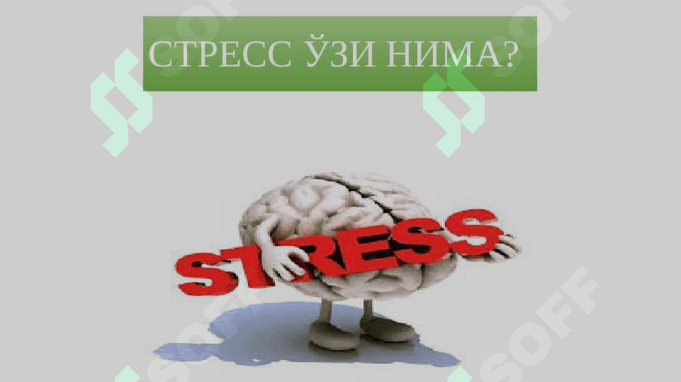 СТРЕСС ПРОФИЛАКТИКАСИ 2