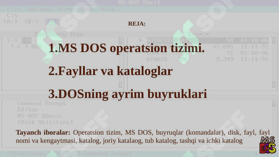 MS DOS operatsion tizimi, MS DOS asosiy buyruqlari. 2